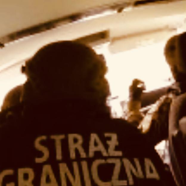 Zatrzymano 7 obywateli Turcji, w tym imigrantów i organizatorów przerzutu z Ukrainy